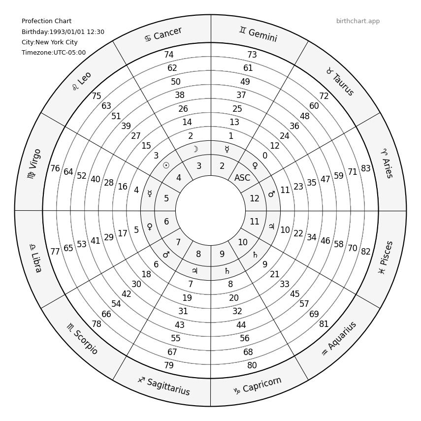 Profection Chart